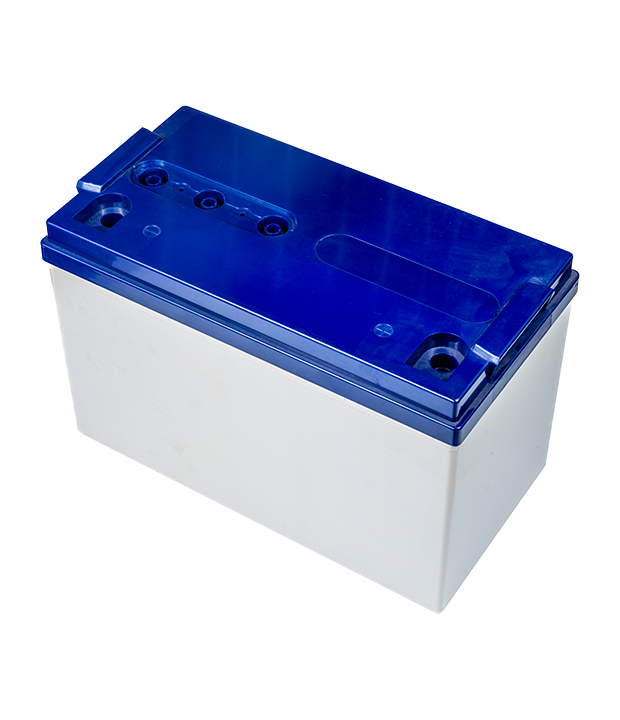 Custodia per batteria