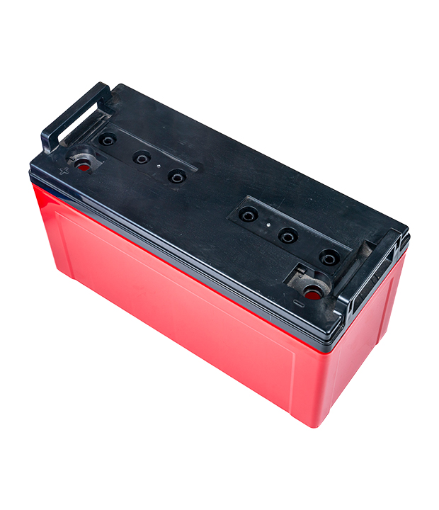 Custodia per batteria